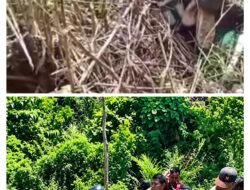 WARGA ABUKI HILANG BEBERAPA HARI, DITEMUKAN MENINGGAL DI RERUMPUTAN SAMBIL BAWA ALAT SETRUM IKAN