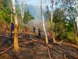 Kebakaran Lahan Kembali Terjadi di Jalan Konggoasa Watulondo, Lurah Ingatkan Warga Tak Membakar Lahan